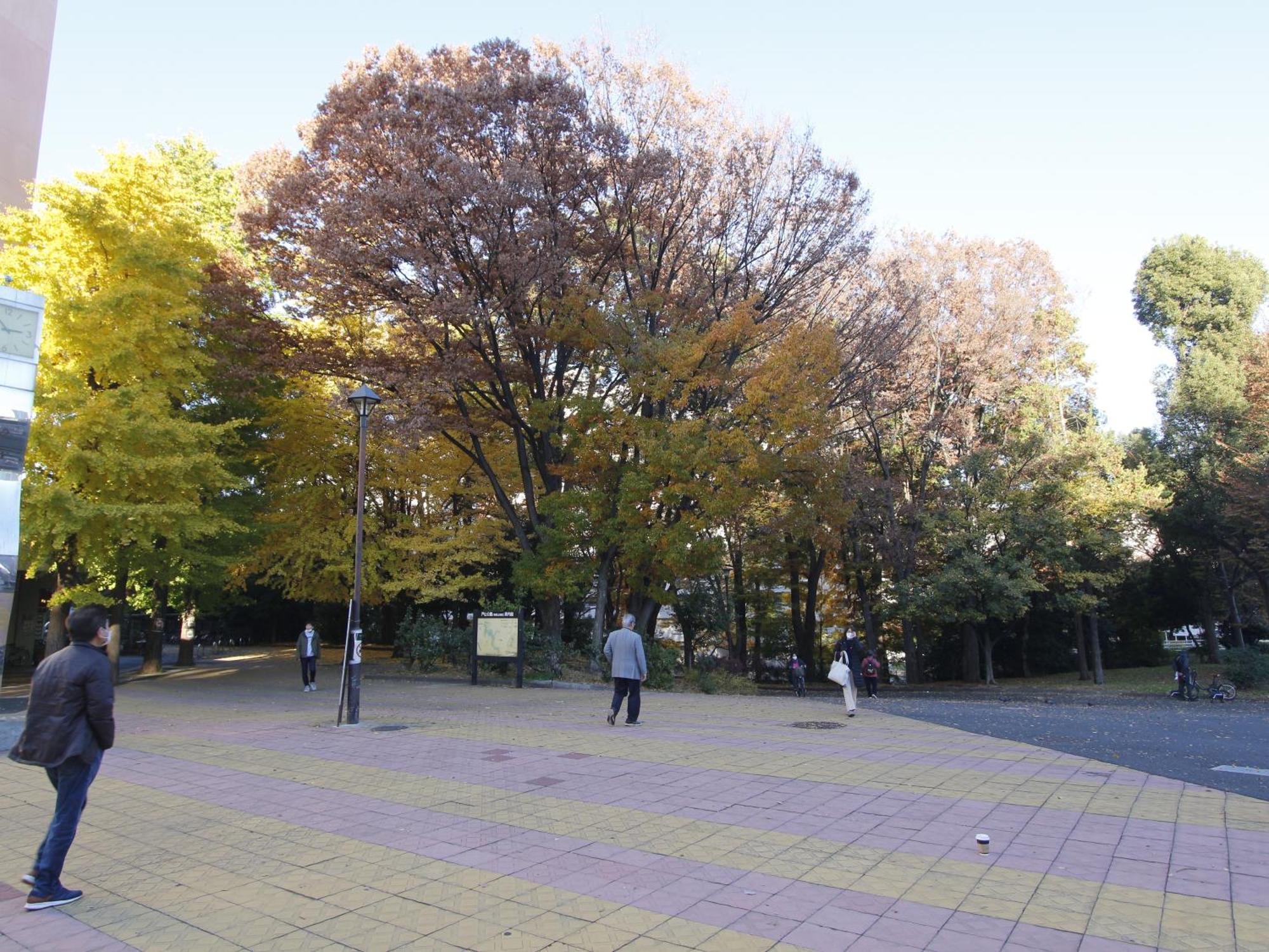 和貴ビル Lägenhet Tokyo prefektur Exteriör bild