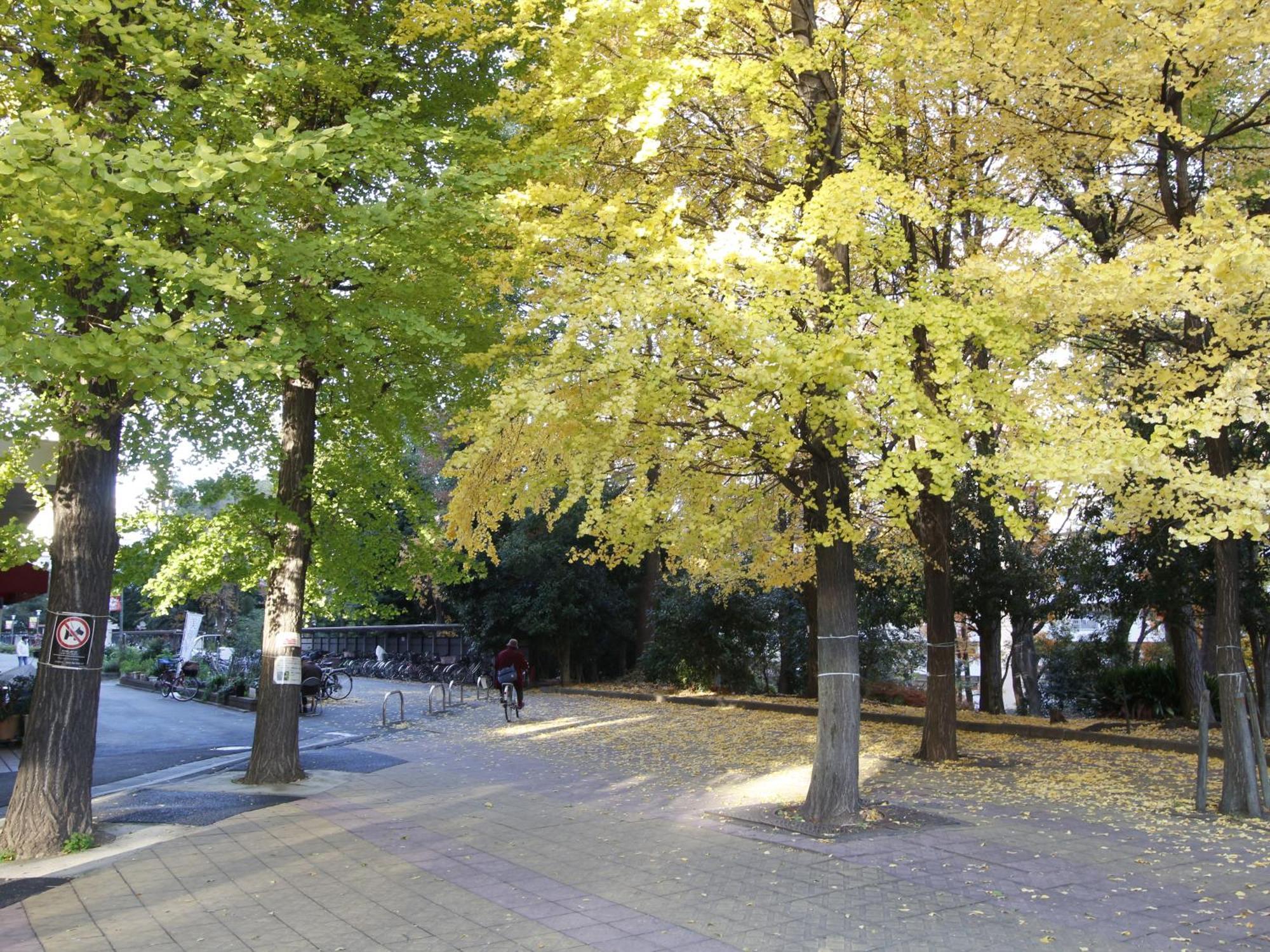 和貴ビル Lägenhet Tokyo prefektur Exteriör bild